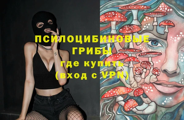 наркотики Бородино