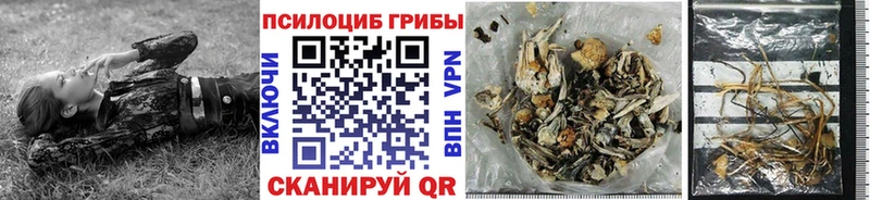 купить закладку Демидов MEGA зеркало Галлюциногенные грибы GOLDEN TEACHER