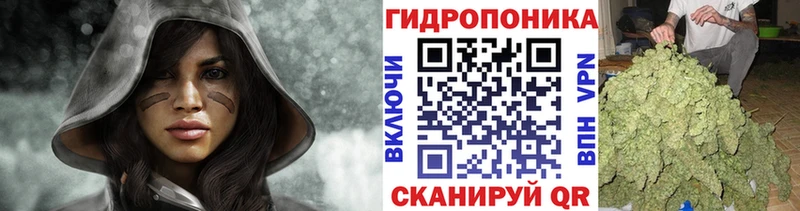 МАРИХУАНА гибрид  Демидов 